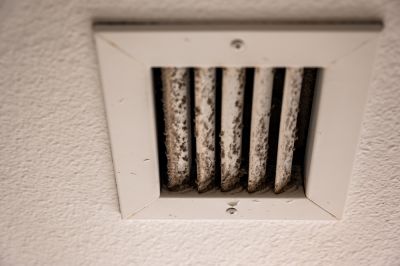 Duct Mold Cleaning - Ducts And Vents Oakley, California